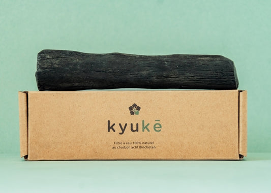 Charbon actif Binchotan xl pour fontaine à eau - 1